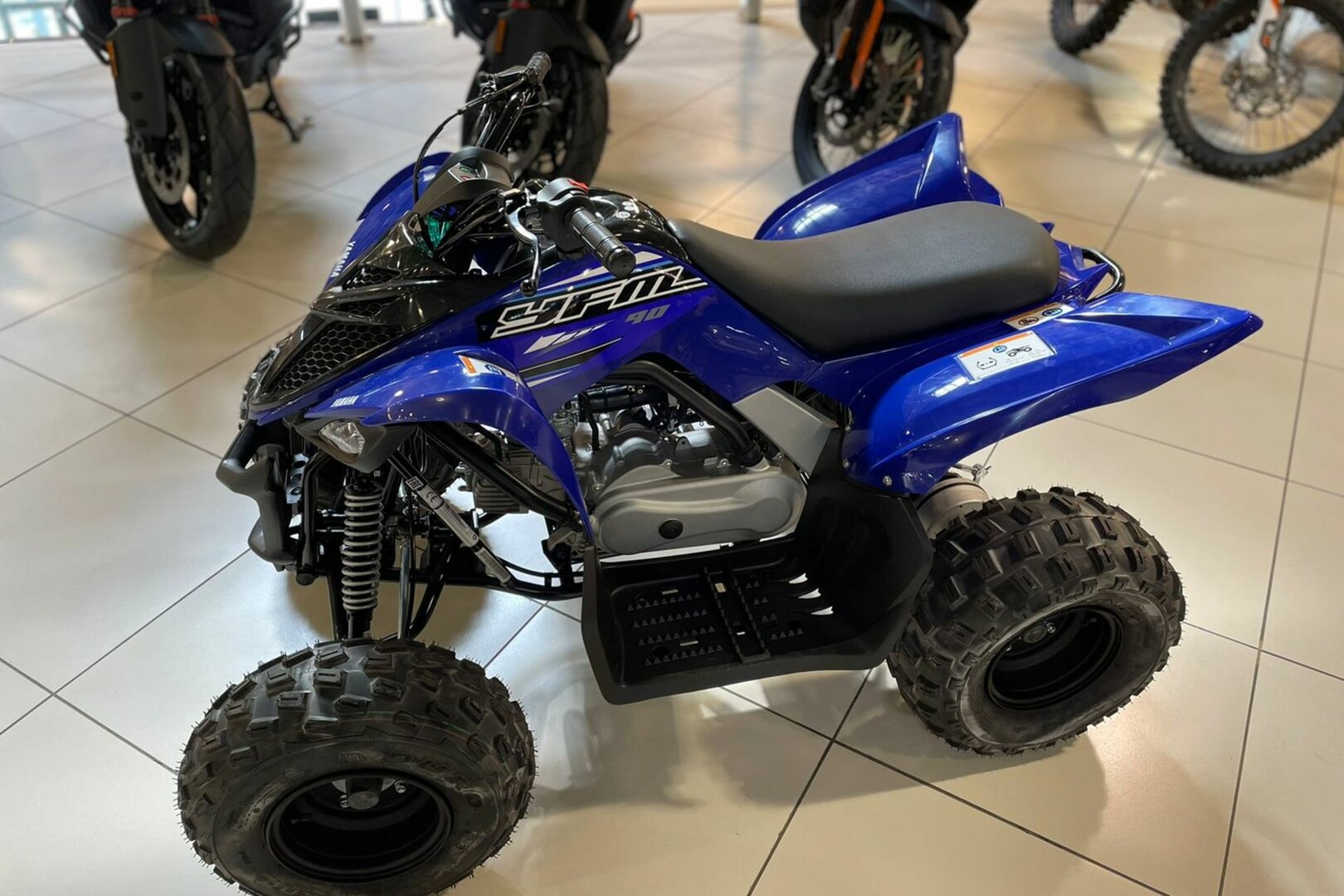 Yamaha Raptor 90 - фото №3