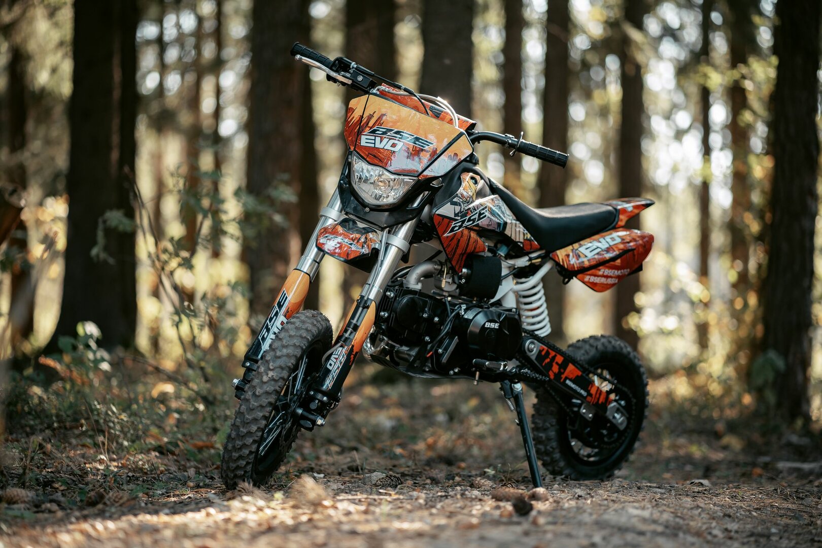 BSE EVO - фото №2