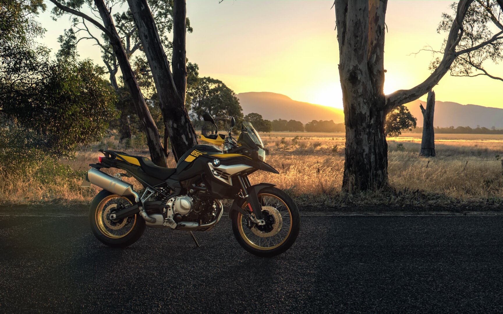 BMW F 850 GS - фото №7