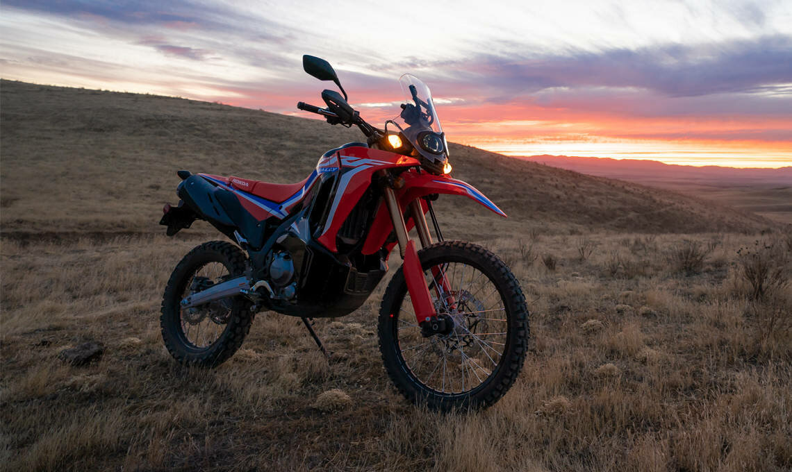 Honda CRF 300 Rally - фото №1