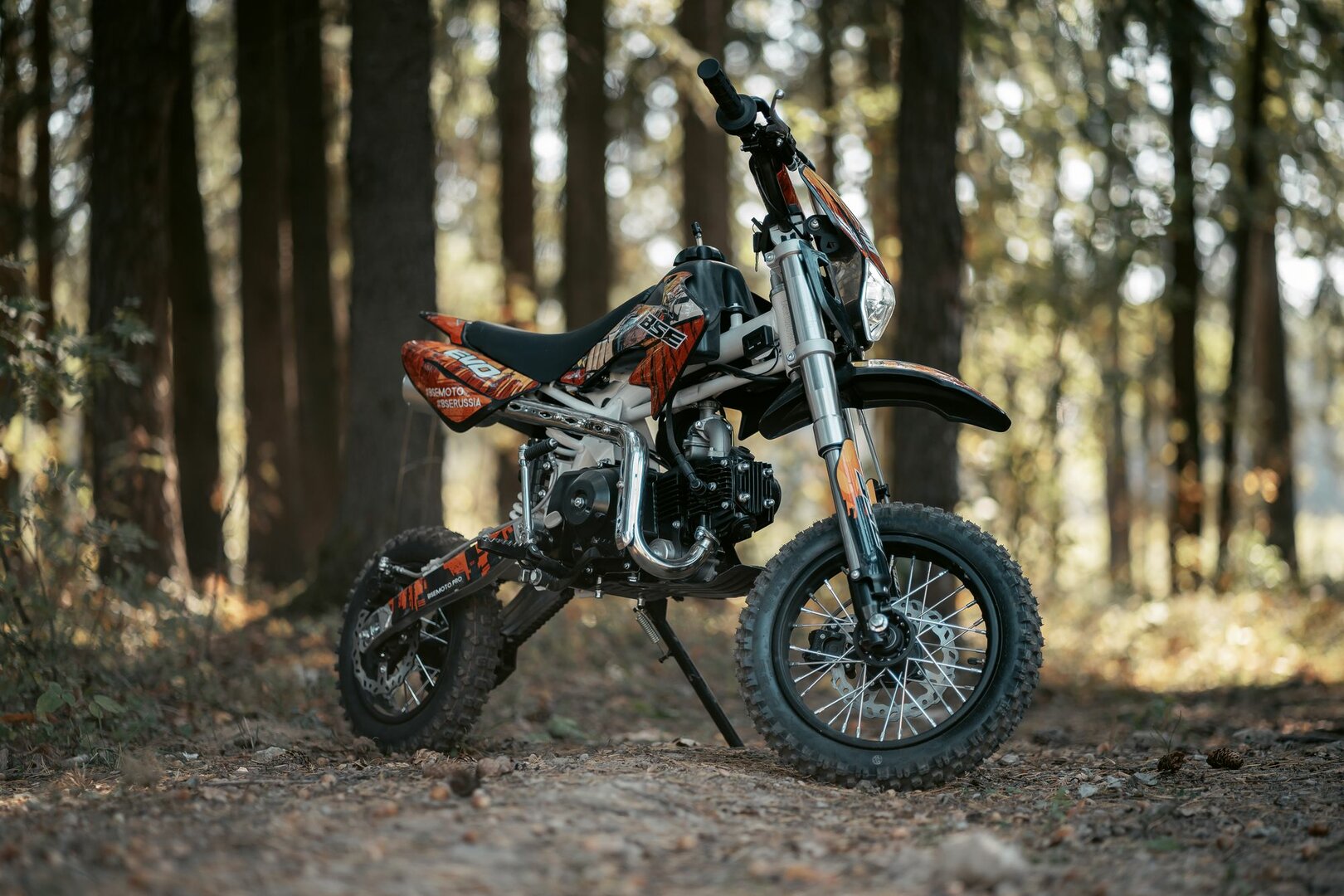 BSE EVO - фото №1
