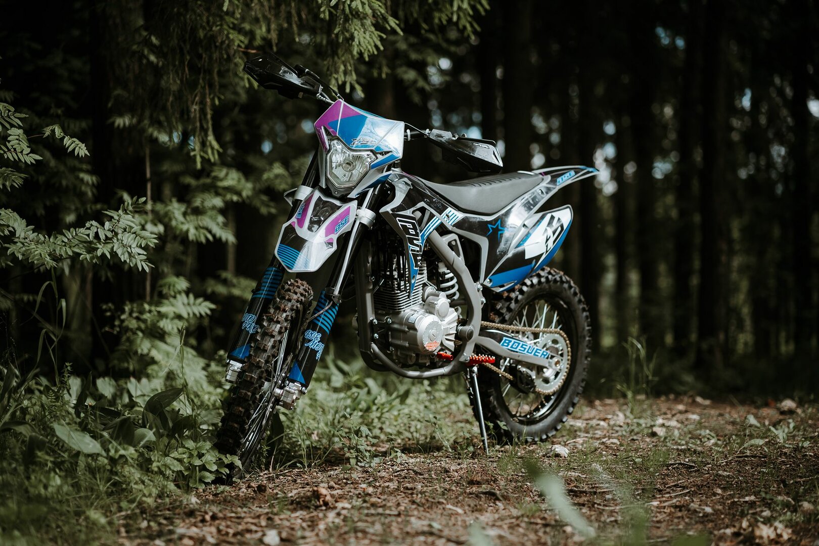 BSE Z5 L - фото №2