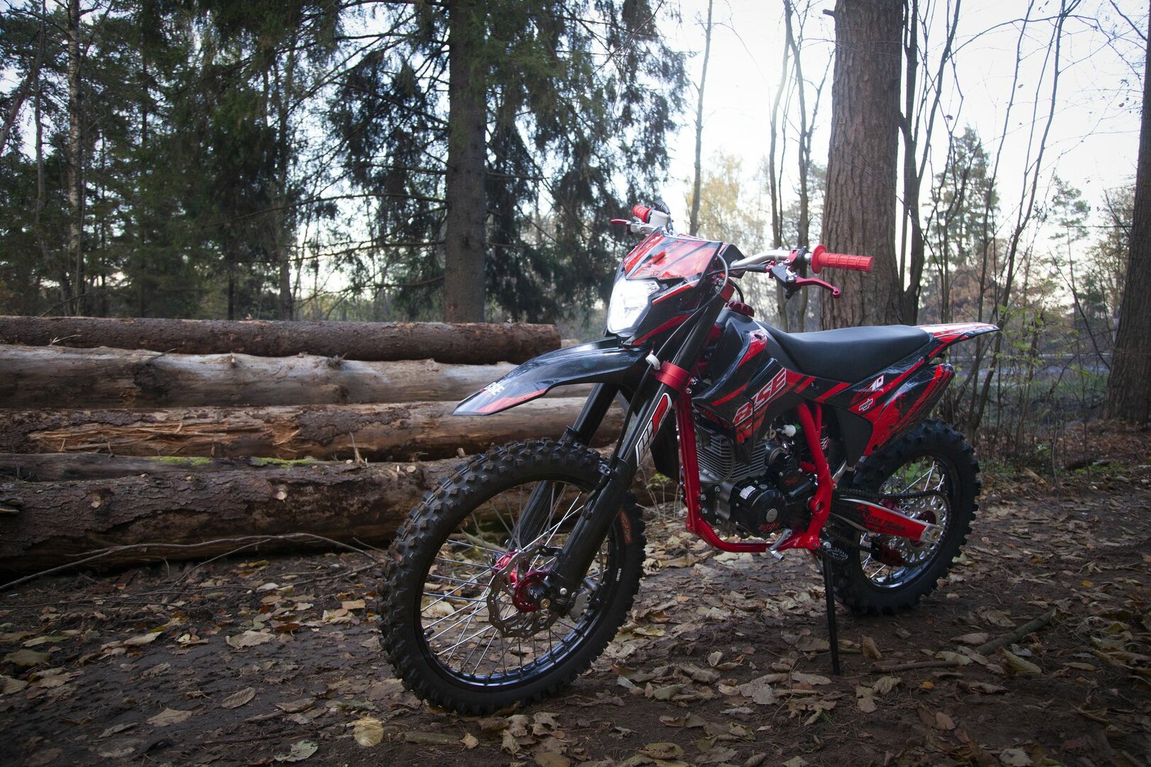 BSE Z10 - фото №1
