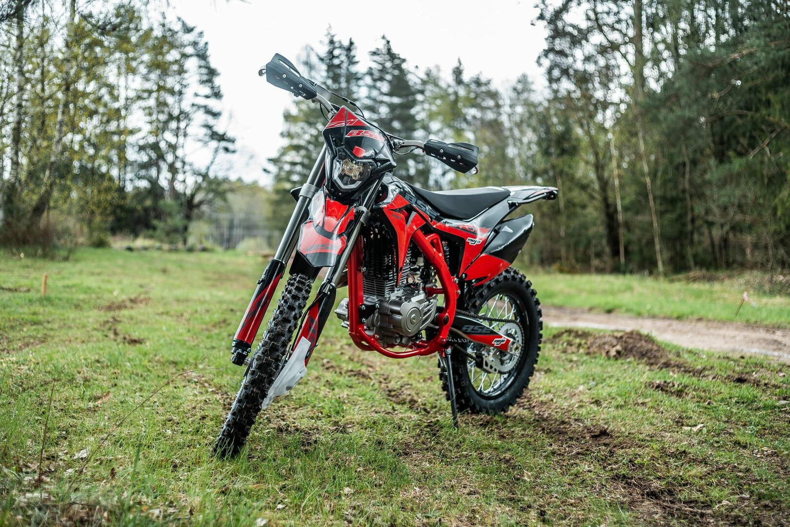 BSE Z11 - фото №2