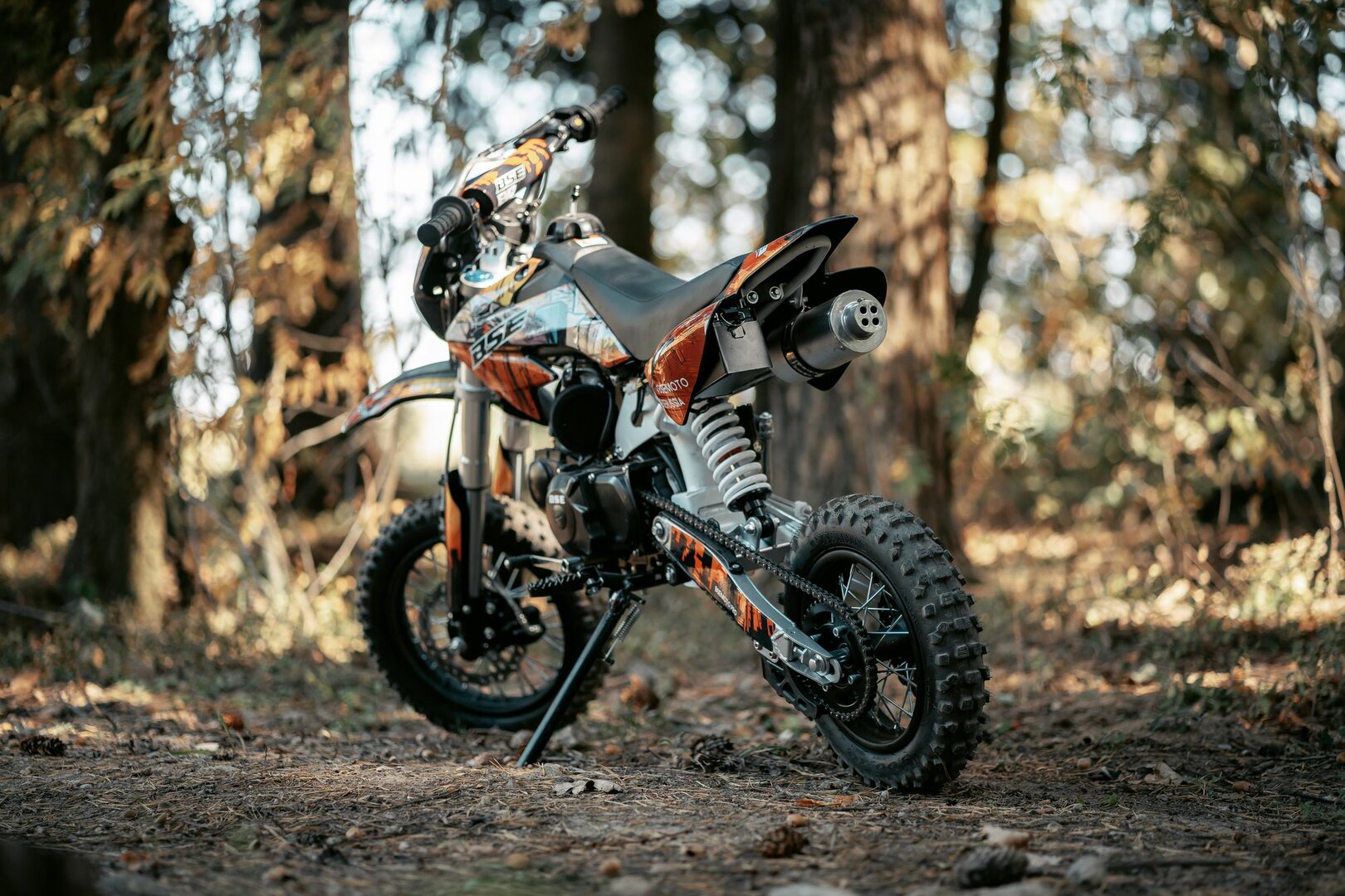BSE EVO - фото №3