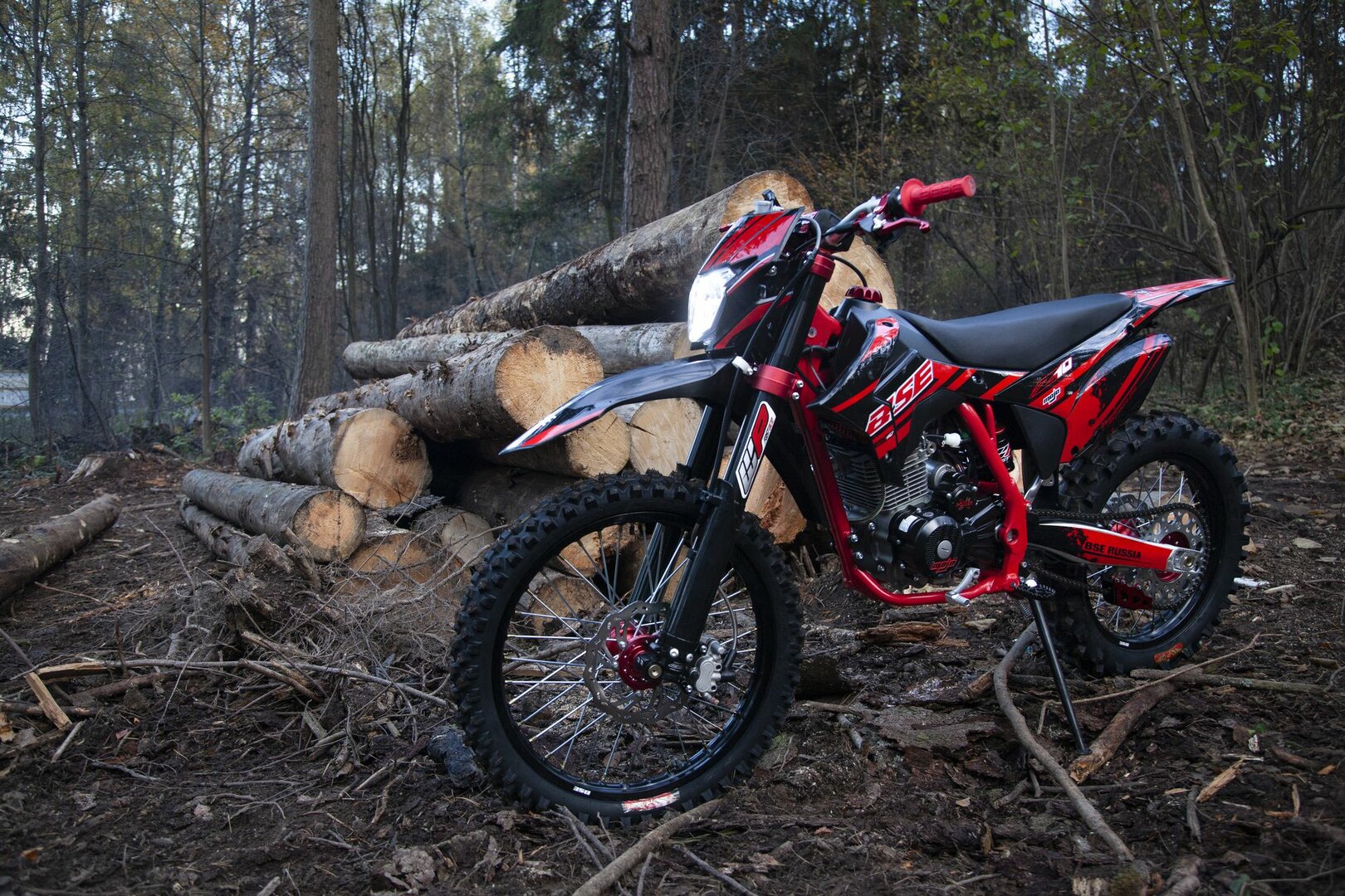 BSE Z10 - фото №3