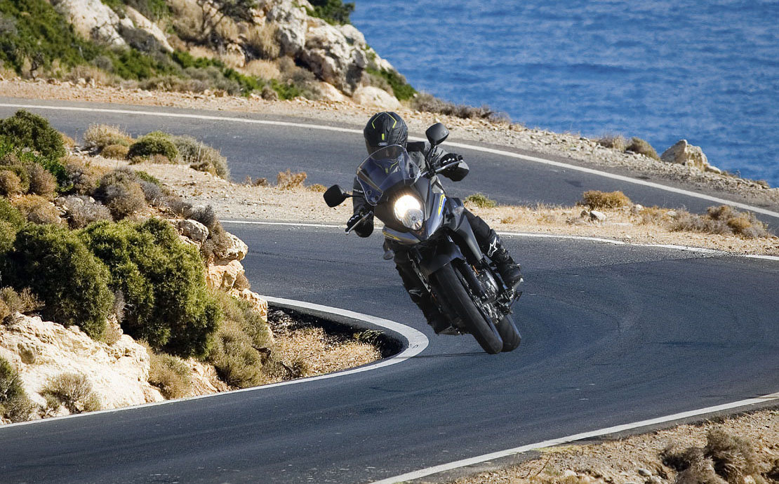 Suzuki V-STROM 650 ABS - фото №1