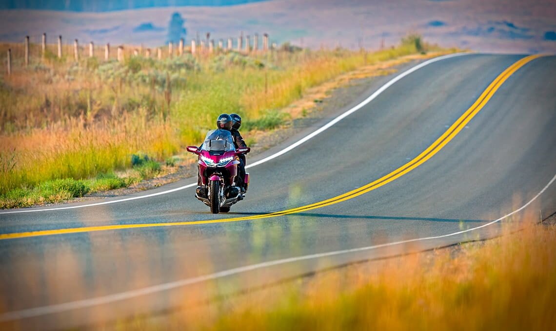 Honda Gold Wing Tour AT - фото №5