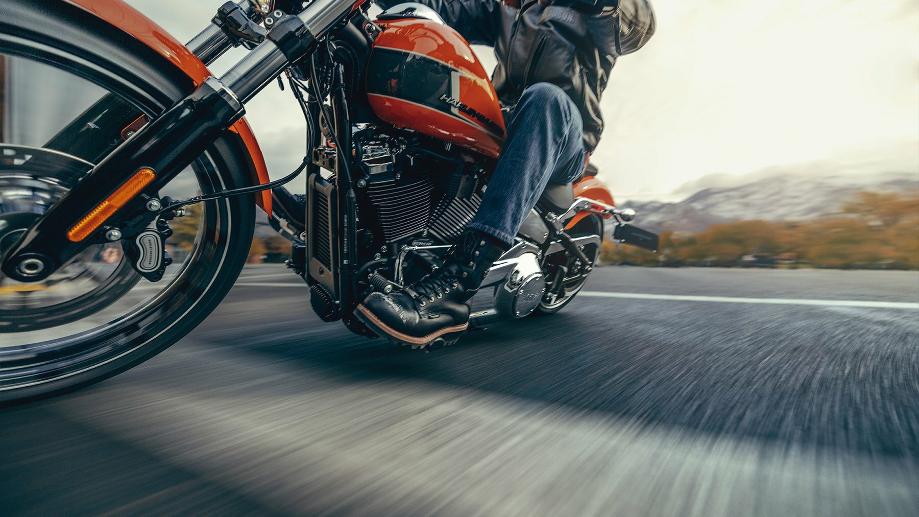 Harley-Davidson Breakout 117 - фото №3