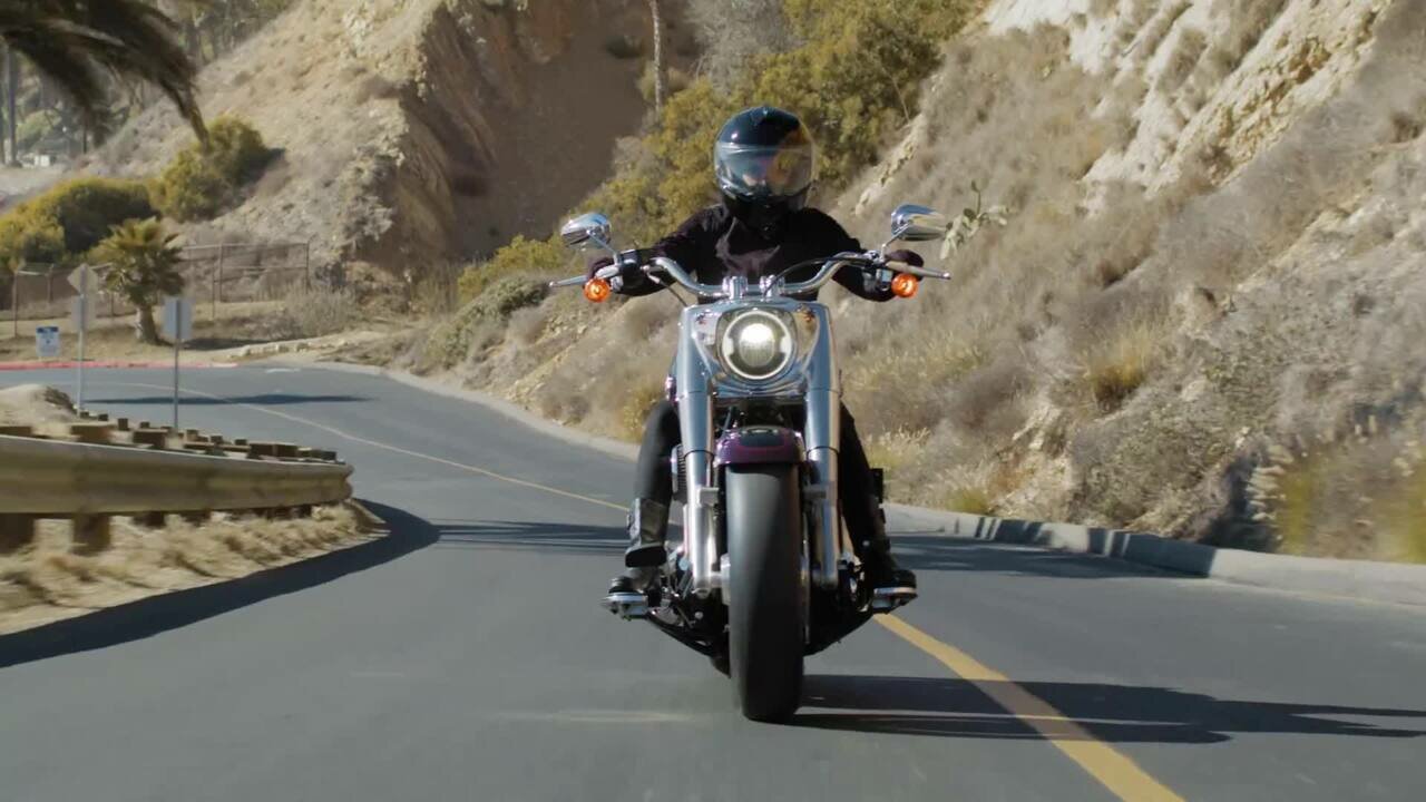 Harley-Davidson Fat Boy 114 - фото №6