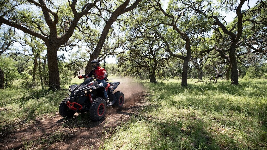 BRP Renegade STD T 650 - фото №3