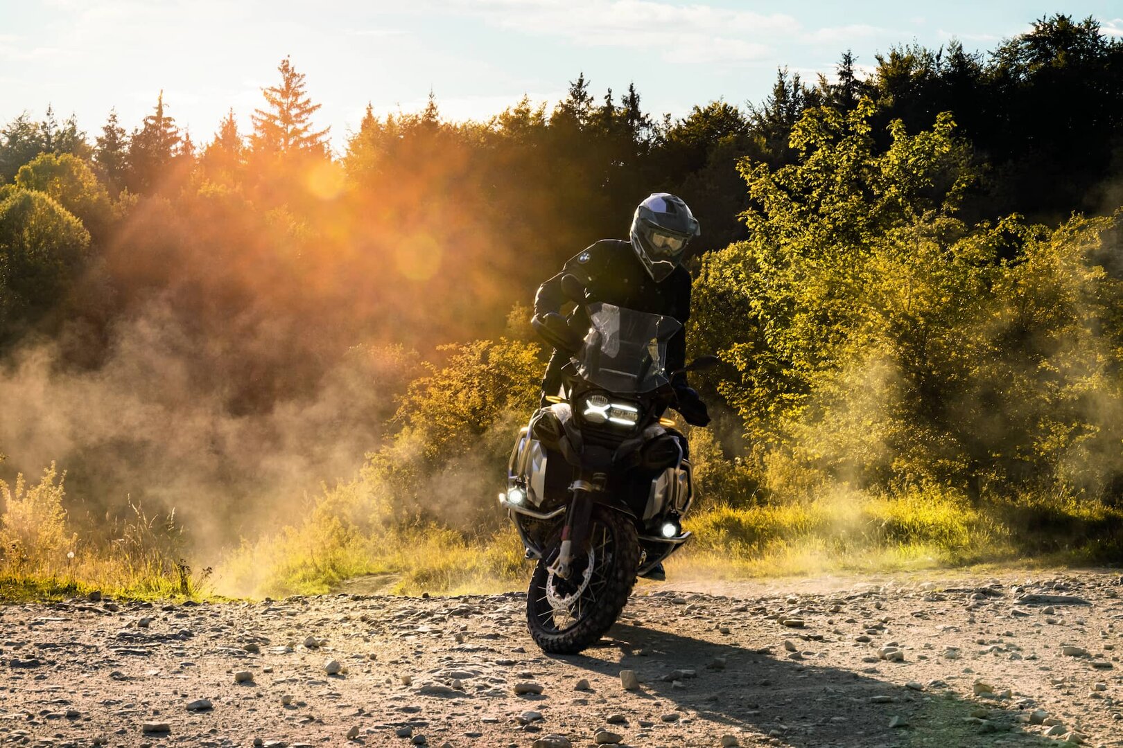 BMW R 1250 GS - фото №19